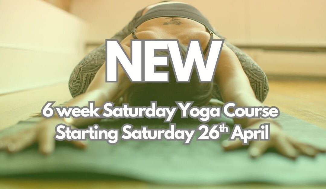 NEW – 6 week Saturday yoga beginners/ refresher course