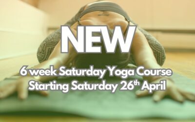 NEW – 6 week Saturday yoga beginners/ refresher course