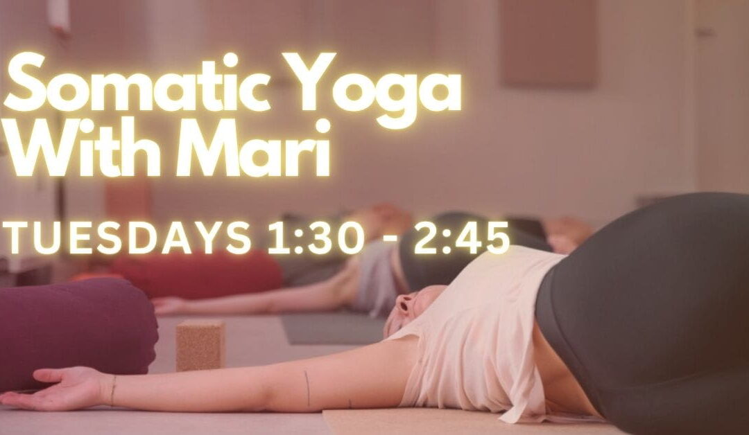 Somatic Yoga with Mari Dixon